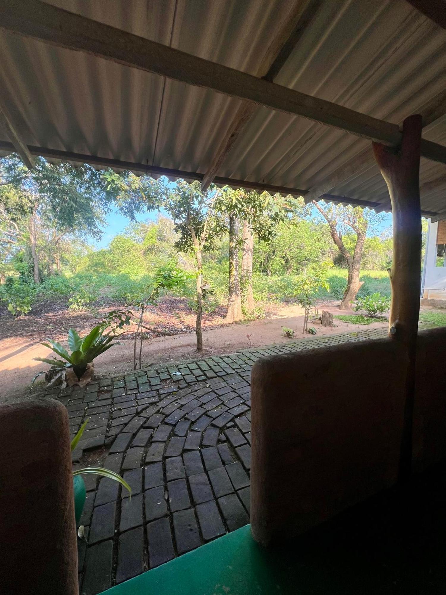 Tembo Cottage Wilpattu Luaran gambar
